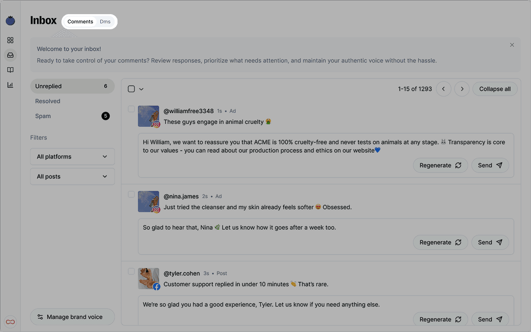 Final Blueberry branding