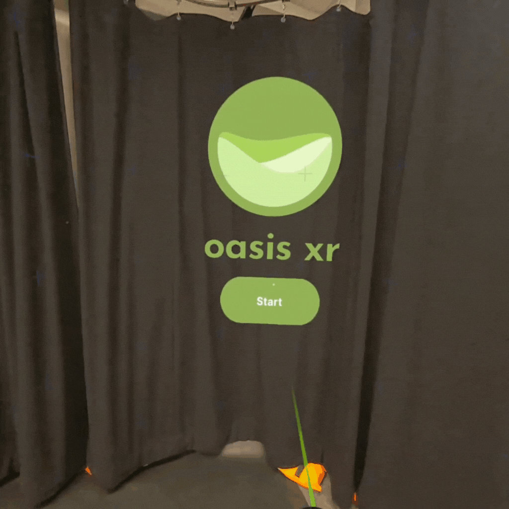 Oasis XR